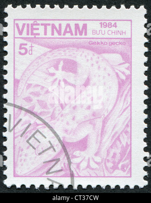 VIETNAM-VERS 1984 : timbre imprimé dans le Vietnam montre Tokay Gekko gecko (Gecko), vers 1984 Banque D'Images