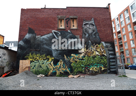 Street art mural sur mur de brique de ratons laveurs dans Montréal Québec Canada Kathy DEWITT Banque D'Images