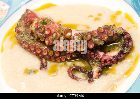 Poulpe bouilli sur mousse de pommes de terre. Banque D'Images