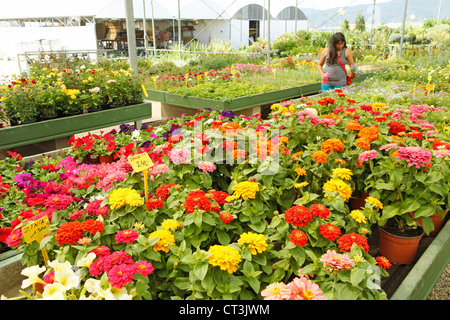 Centre de jardin à Banyoles, Gérone, Catalogne, Espagne. Banque D'Images