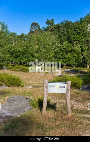 Sentier de l'érosion dans la forêt de Fontainebleau - Paris, France Banque D'Images