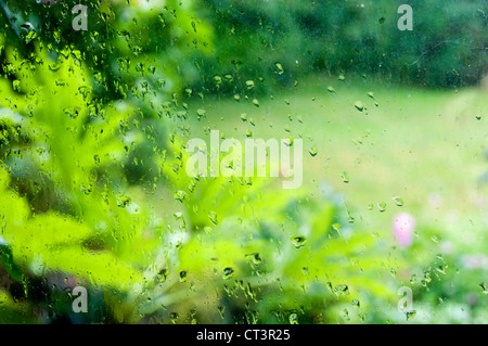 Jardin de vue à travers une fenêtre couverte de pluie. Banque D'Images