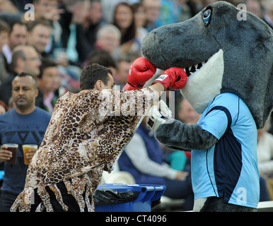 Sid le requin mascot pour Sussex County Cricket Club a une simulation de combat avec un jeune homme habillé comme un boxeur Sussex UK Banque D'Images