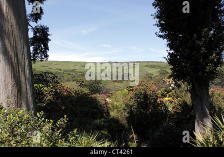 WHITE HILL près d'ABBOTSBURY DORSET UK. Banque D'Images