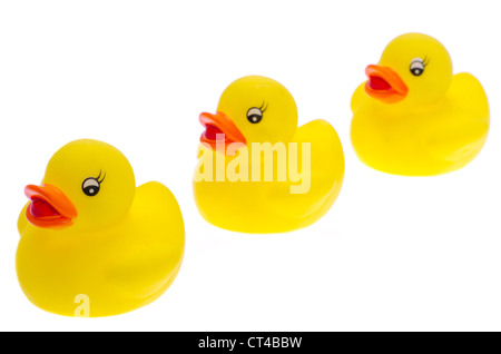 Trois canards jaune - profondeur de champ - studio photo avec un fond blanc Banque D'Images