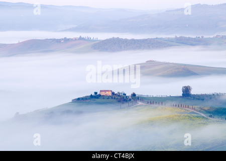 Pienza, Toscane - Tôt le matin voir misty de Pienza en direction de Val d'Orcia en mai Banque D'Images