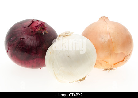 Trois variétés d'oignon frais - rouge, blanc et brun, studio shot avec un fond blanc Banque D'Images