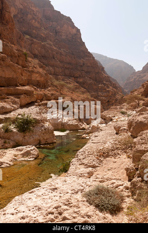 Elk207-2015v Oman, côte est, Wadi Shab, paysage canyon Banque D'Images