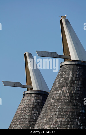 Maisons oast traditionnels convertis en trois moulins Studio Cinéma à Bow, Londres, UK Banque D'Images