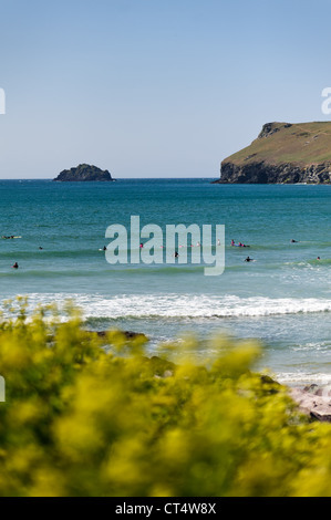 Surfers dans la mer en attente d'attraper une vague à Polzeath Bay sous le soleil d'été à Cornwall Banque D'Images