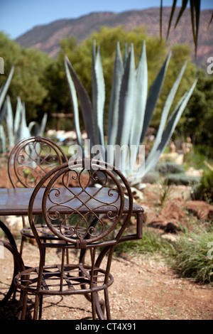 Salon de jardin traditionnel en fer forgé, table et chaises en Afrique Maroc Banque D'Images