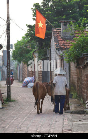 Un agriculteur vietnamien ses promenades le buffle d'eau accueil le 3 septembre 2010 dans Village Duong Lam, Vietnam. Banque D'Images