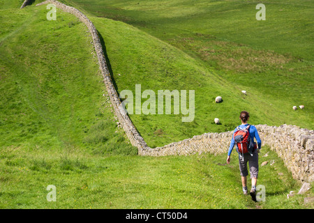 Un randonneur marchant à côté du mur d'Hadrien près de Crag Lough dans le Northumberland, England, UK. Banque D'Images