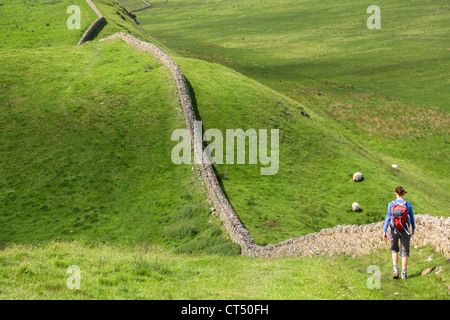 Un randonneur marchant à côté mur d'Hadrien près de Crag Lough dans le Northumberland, England, UK. Banque D'Images