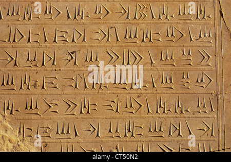 L'Empire perse. Période achéménide. L'écriture cunéiforme sur le mur du palais de Persépolis. Banque D'Images