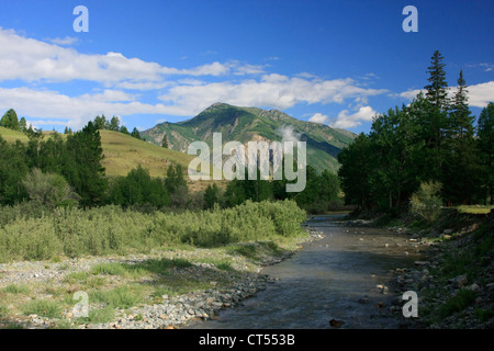 Une nature intacte le long de la rivière Chuya scène, l'Altaï, en Sibérie, Russie Banque D'Images