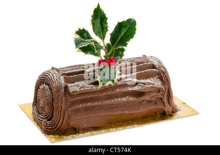 Bûche au chocolat - studio photo avec un fond blanc Banque D'Images