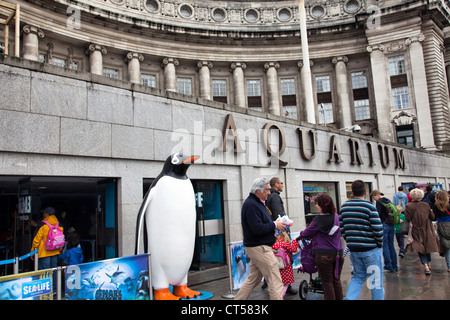 London Aquarium sur Southbank - UK Banque D'Images