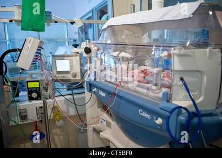 Bébé prématuré examen EEG Banque D'Images