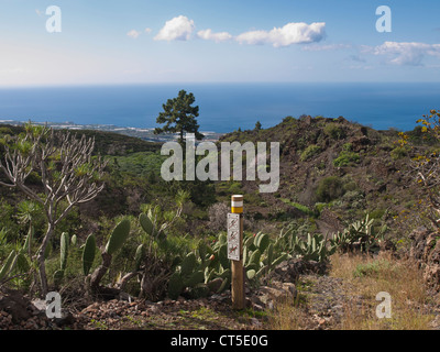 Le chemin balisé de Tenerife entre Guia de Isora et Chirche Banque D'Images