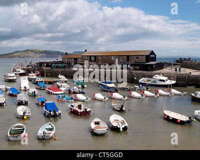 Lyme Regis Marine Aquarium, Dorset, UK Banque D'Images