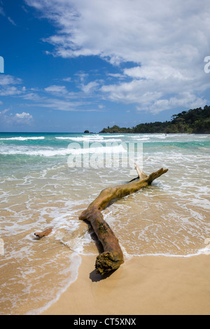 À travers les vagues de la plage de l'Assistant (première plage) sur Isla Bastimentos, Bocas del Toro, PANAMA. Banque D'Images