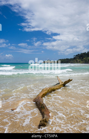 À travers les vagues de la plage de l'Assistant (première plage) sur Isla Bastimentos, Bocas del Toro, PANAMA. Banque D'Images