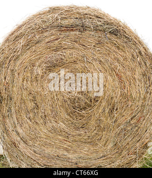 Hay Bale isolé sur fond blanc Banque D'Images