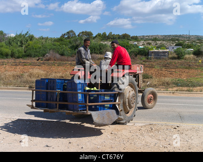 dh agriculteurs chypriotes Grèce AGRICULTURE CHYPRE DU SUD champs sur tracteur ouvriers agricoles tracteurs travailleurs insulaires agricoles Banque D'Images