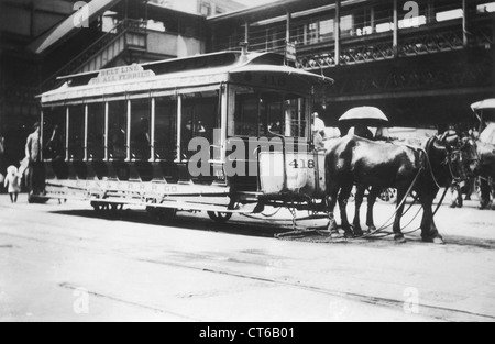 Voitures à cheval de ceinture, vers 1917, New York City Banque D'Images