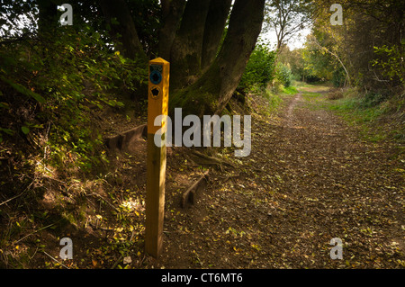 Un chemin balisé de la piste en contrebas de l'Icknield Way sur la Dunstable Downs, collines de Chiltern, Bedfordshire, Angleterre Banque D'Images