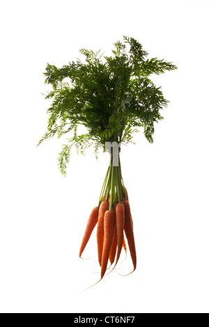 Botte de carottes avec feuilles jointes, isolated on white Banque D'Images