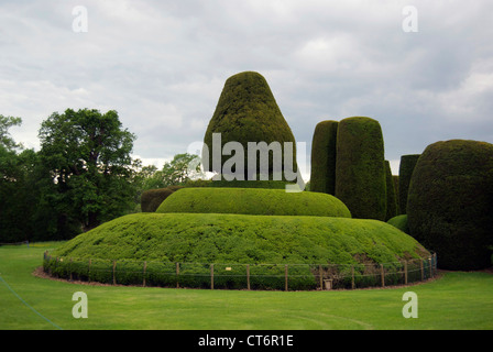 Maître et en spirale, Yew Tree garden à Packwood House Warwickshire Banque D'Images