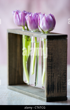 Trois tulipes pourpres dans un petit verre flacons avec de l'eau. Shallow DOF Banque D'Images