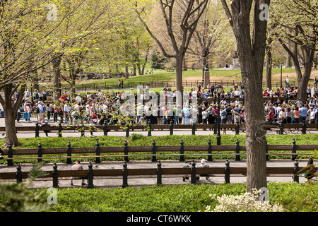 Les foules à Central Park, NYC Banque D'Images