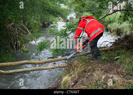 Après les inondations qui ont frappé l'Aberystwyth et villages les travailleurs de l'Agence de l'environnement commencent d'éliminer les débris des rivières Banque D'Images