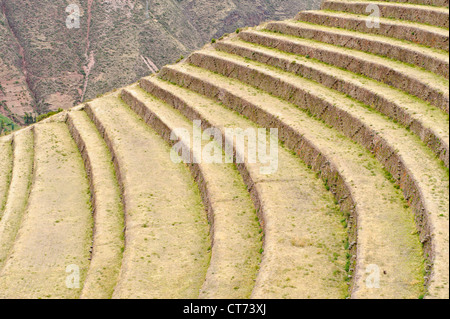 Terrasses agricoles construites par les Incas à Pisac, Urubamba, Pérou. Banque D'Images