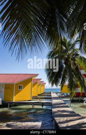 Cabines à bord de l'eau jaune El Faro del Sur hotel Colibri Isla Carenero, l'archipel de Bocas del Toro, PANAMA. Banque D'Images