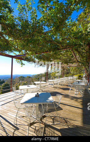 Café à Blue Mountains Botanic Garden, Mount Tomah, New South Wales, Australie Banque D'Images