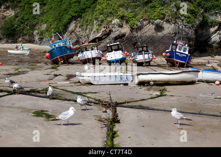 Bateaux de pêche au port de Newquay Banque D'Images