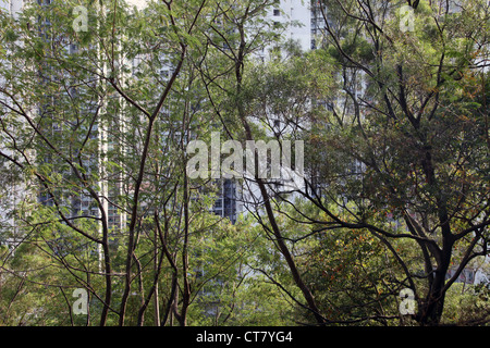 C'est une photo de Hong Kong tower on peut voir si les arbres et arbustes. Pris d'un pic de marche dans une colline Banque D'Images