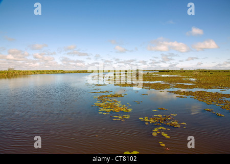 Îles flottantes sur la Laguna Ibera Banque D'Images