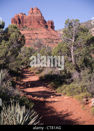 Sedona est une ville de l'Arizona, USA, célèbre pour ses formations de roche de grès rouge. Bell Rock Banque D'Images