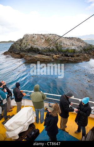 Affichage du roi cormorans sur Isla de Pajaros dans le canal de Beagle de la bécune voile Banque D'Images