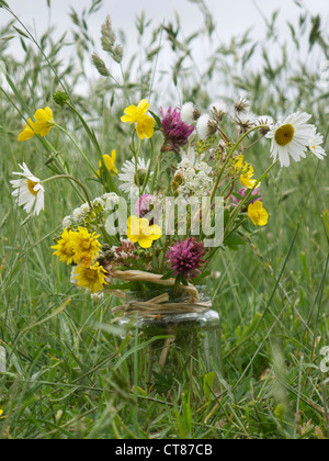 Pot de confiture de fleurs sauvages sur l'herbe dans les terres agricoles Banque D'Images