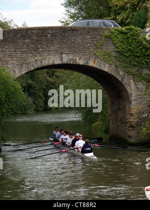 Mens l'aviron sur la Tamise entre huit et d'Abingdon, Oxfordshire Culham Banque D'Images