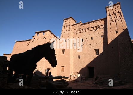 Ait Benhaddou, Maroc ; 13e siècle ville fortifiée, l'emplacement de plus de 20 films hollywoodiens. Banque D'Images