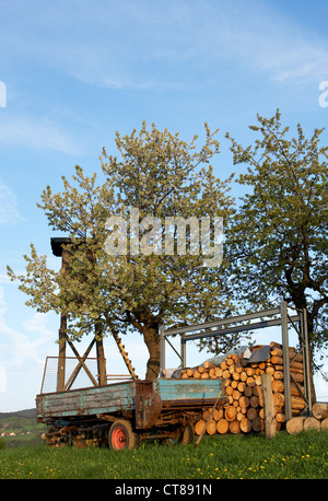 Berneck - idylle rurale sur un Wiesengrundstueck Banque D'Images