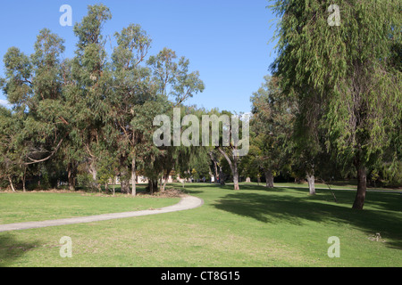 Motifs du Parc National de Yanchep près de Perth en Australie occidentale Banque D'Images