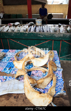 Dents de requins à la vente à la Sir Selwyn Clark fish market, Victoria, Mahe, Seychelles Banque D'Images